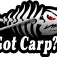 ProSticker 1518 (One) 3.5" X 7" Fishing Art Series Got Carp Skeleton Arrow Decals Sticker
