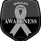 ProSticker 2506 (One) 4" Cancer Awareness Series Brain Decal Sticker