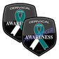 Cervical Cancer Awareness Ribbon Decal (One) 3" 2 Pack ProSticker 2512 2PK
