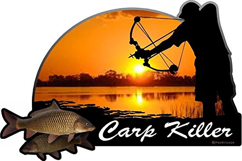 ProSticker 1530 (One) 4" X 6" Fishing Art Series Carp Killer Arrow Decals Sticker