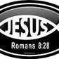 ProSticker 2207 (One) 3" X 5" Euro Oval Series Jesus Romans 8:28" Decal Sticker
