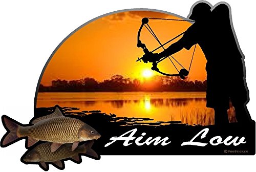 ProSticker 1526 (One) 4" X 6" Fishing Art Series Aim Low Arrow Decals Sticker