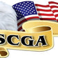 ProSticker 962 (One) 3" X 6" American Pride Series USCGA Bald Eagle Decal Sticker