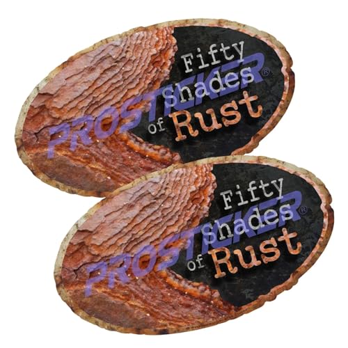 50 Shades of Rust Rat Rod Decal (One) 2.5"x 4.25" 2 Pack ProSticker 732 2PK