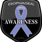ProSticker 2521 (One) 4" Cancer Awareness Series Esophageal Decal Sticker