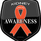 ProSticker 2501 (One) 4" Cancer Awareness Series Kidney Decal Sticker