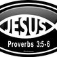 ProSticker 2213 (One) 3" X 5" Euro Oval Series Jesus Proverbs 3:5-6" Decal Sticker