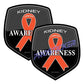 Kidney Cancer Awareness Ribbon Decal (One) 3" 2 Pack ProSticker 2501 2PK