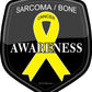 ProSticker 2508 (One) 4" Cancer Awareness Series Sarcoma/Bone Decal Sticker